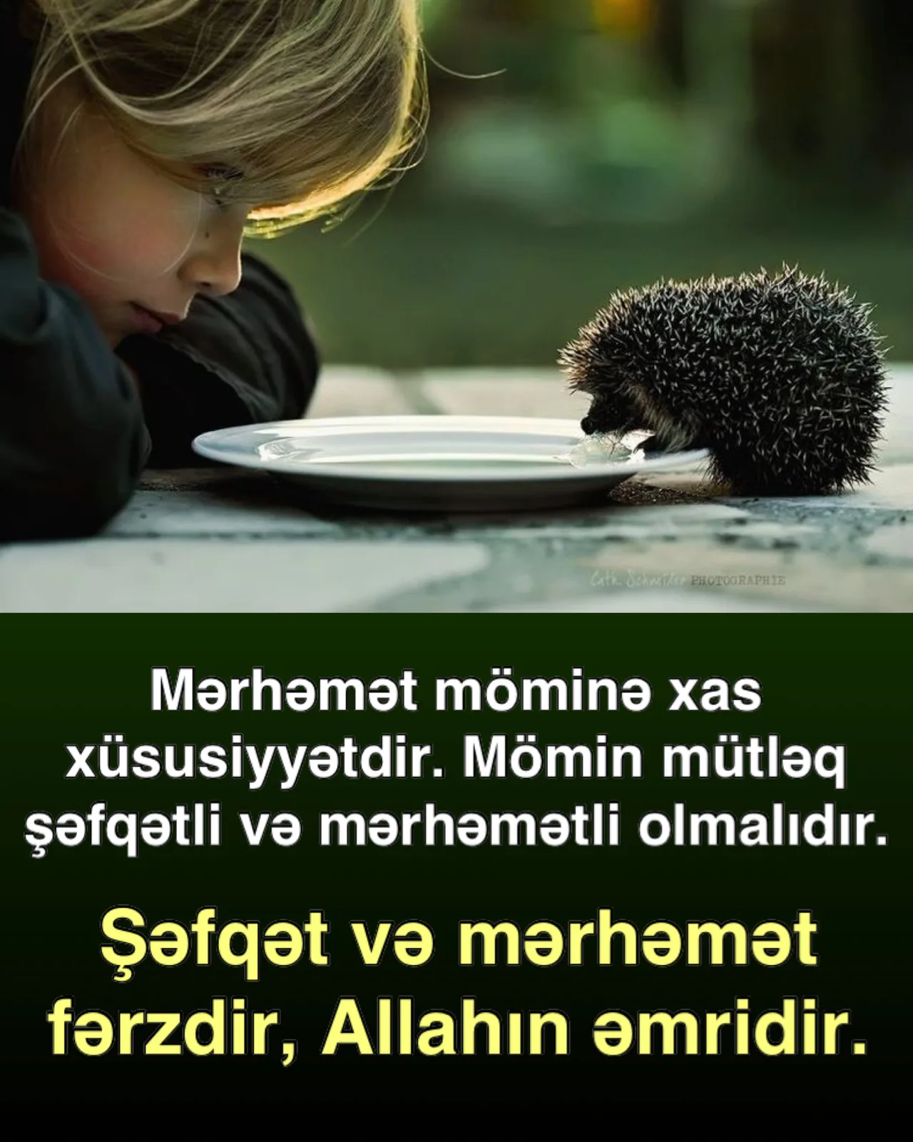 Həqiqi mərhəmətin qaynağı Allah sevgisidir