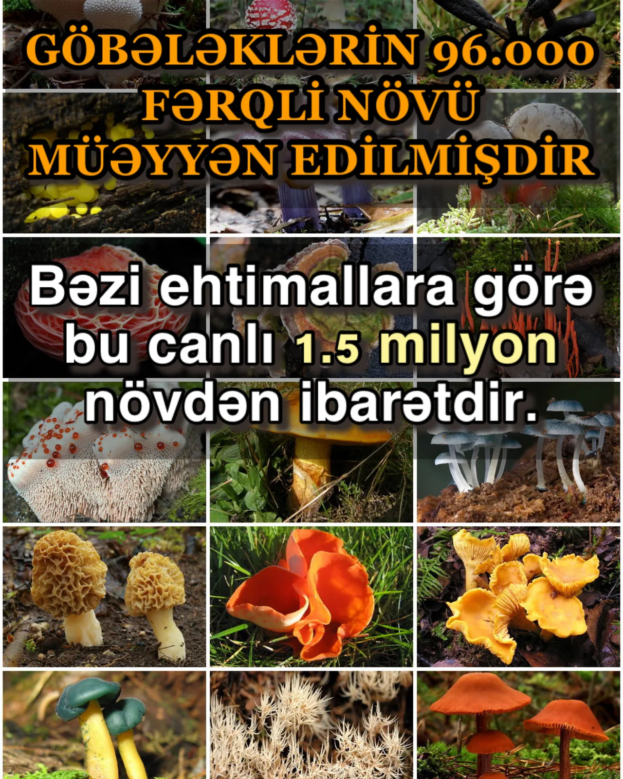 Hər an yaşadığımız nemətlər