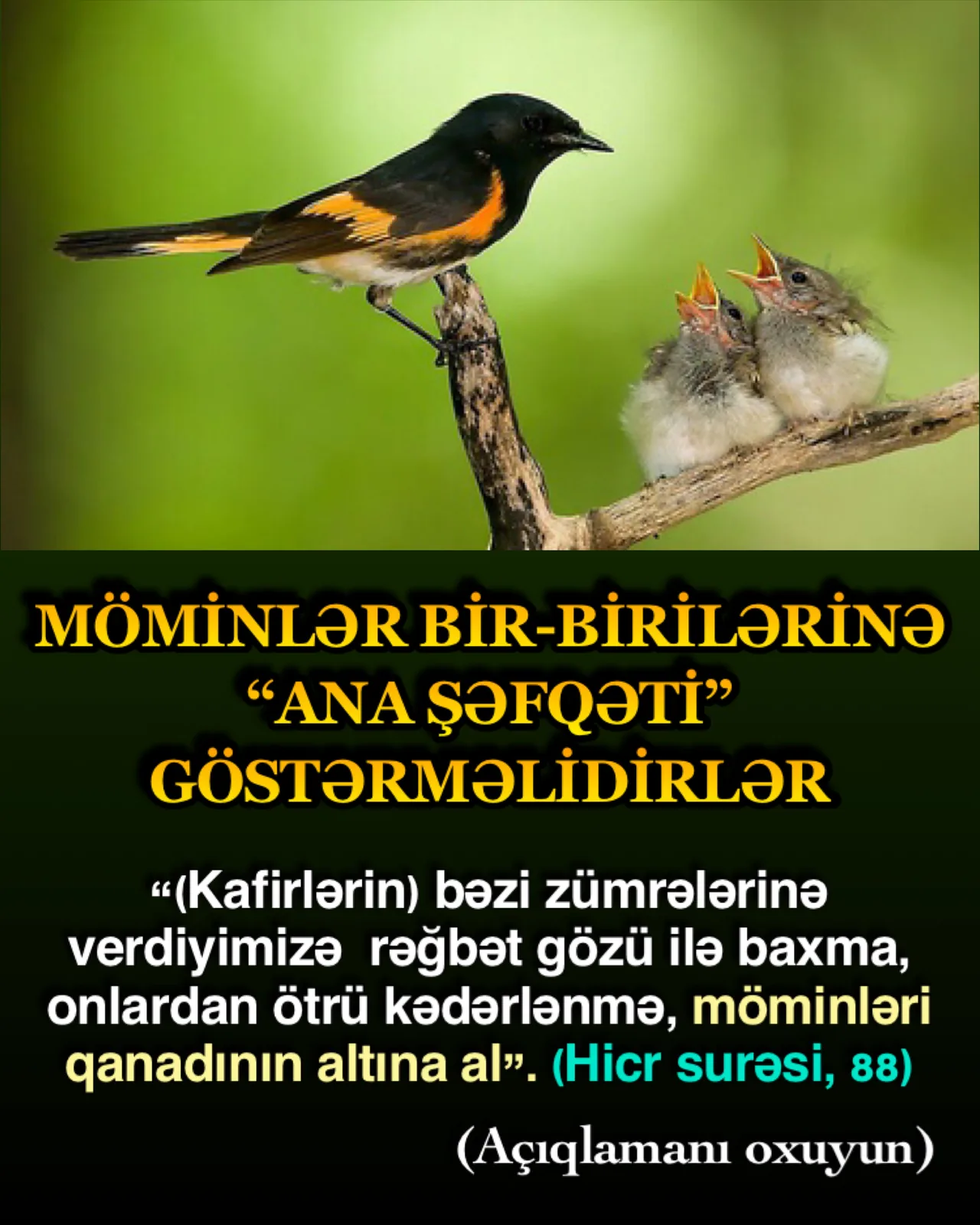 Hər bir ana ətrafındakı təhlükələrdən tamamilə xəbərsiz və müdafiəsiz körpəsinə dərin şəfqət