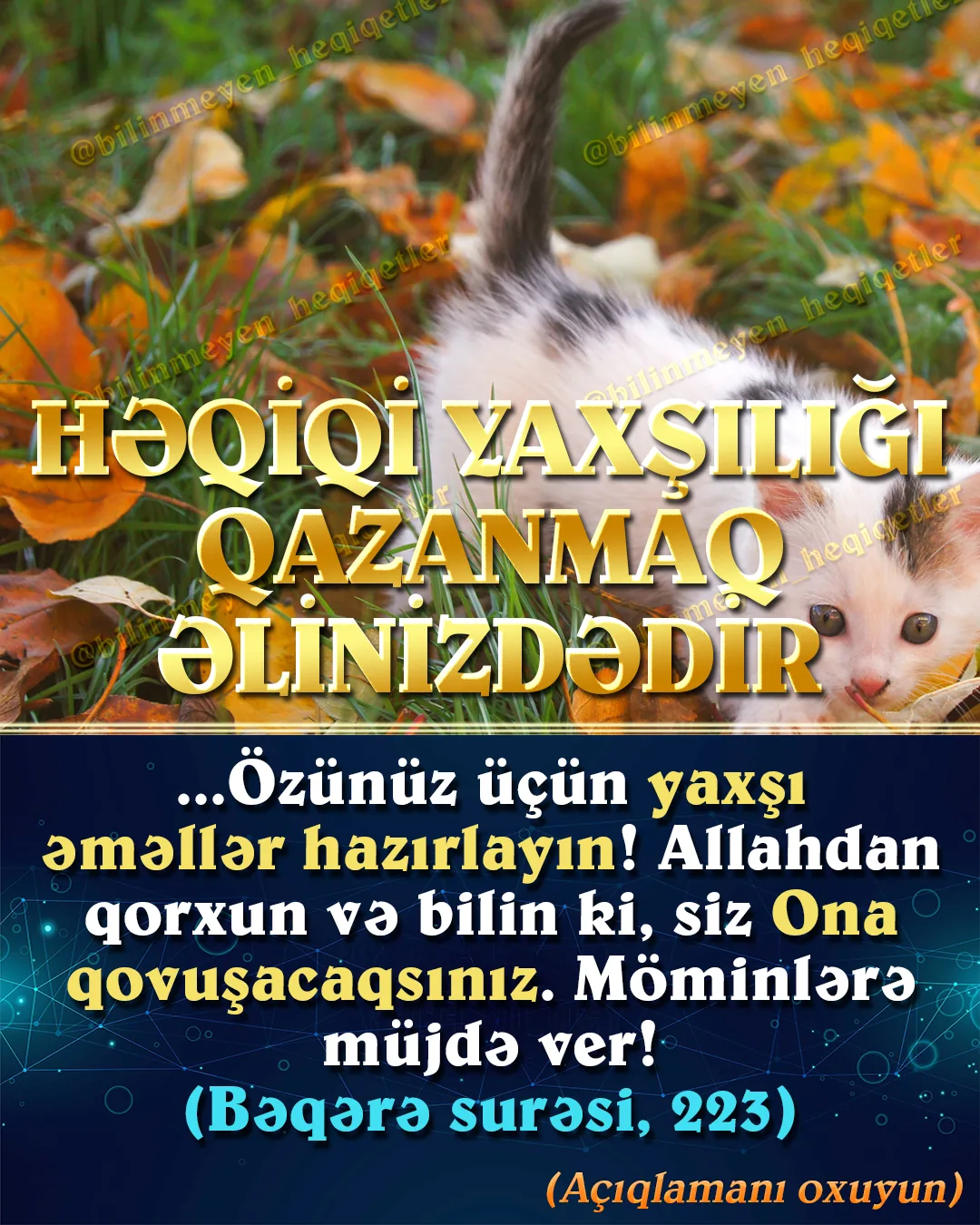 Hər gün yazılı və televiziya mətbuatında bir çox xəbərlər işıqlandırılır