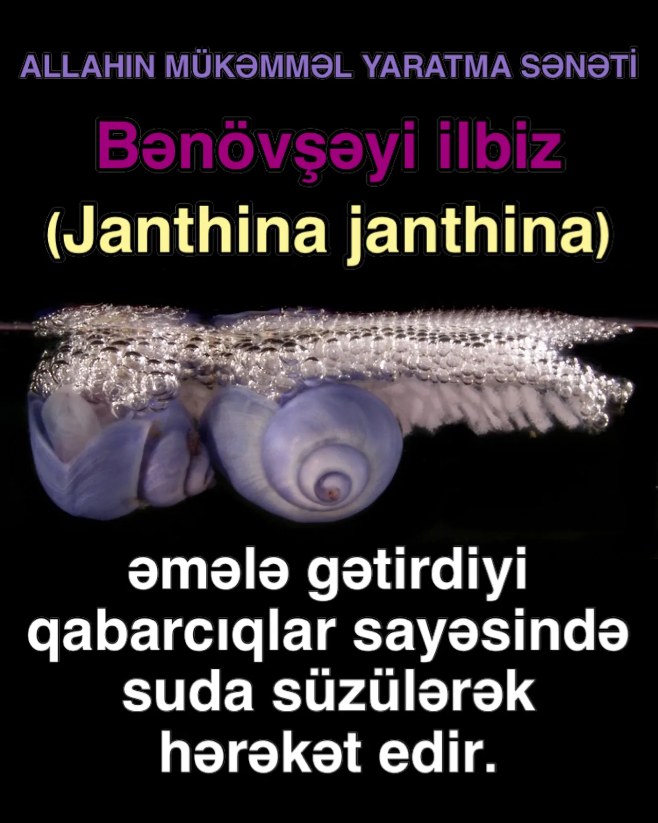 Hər incəlik düşünülmüş qayğı