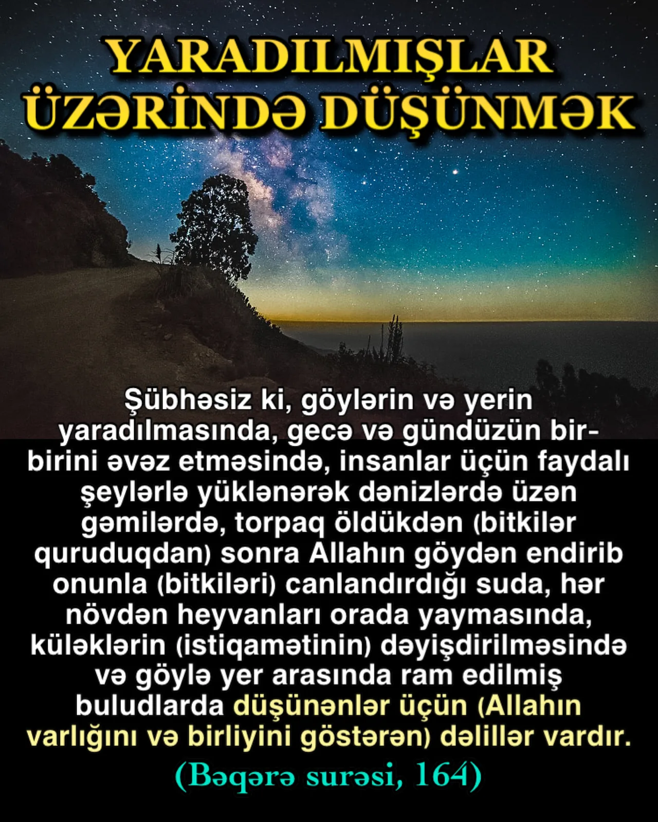 Hər incəlikdə Allahın sənəti görünür