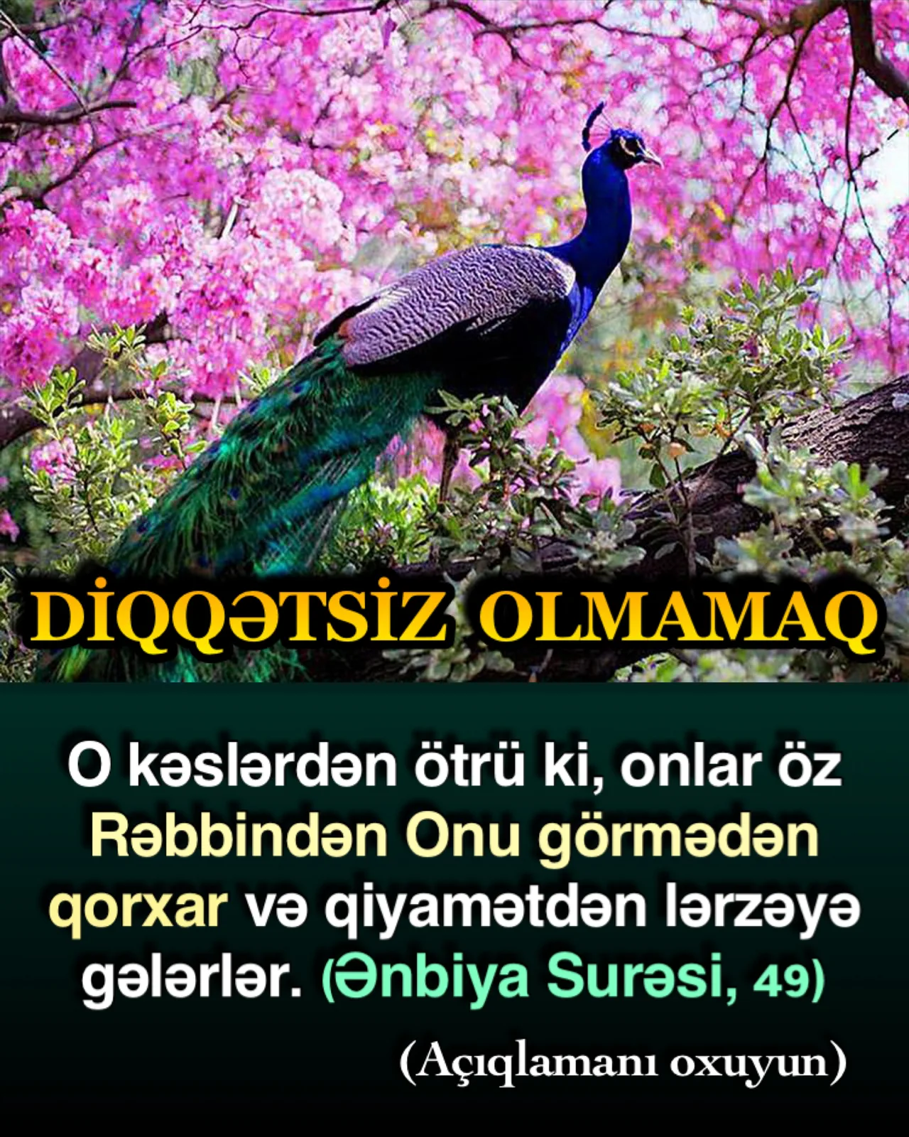 Hər insan bir çox cəhətdən gözəl əxlaqa sahib ola bilər