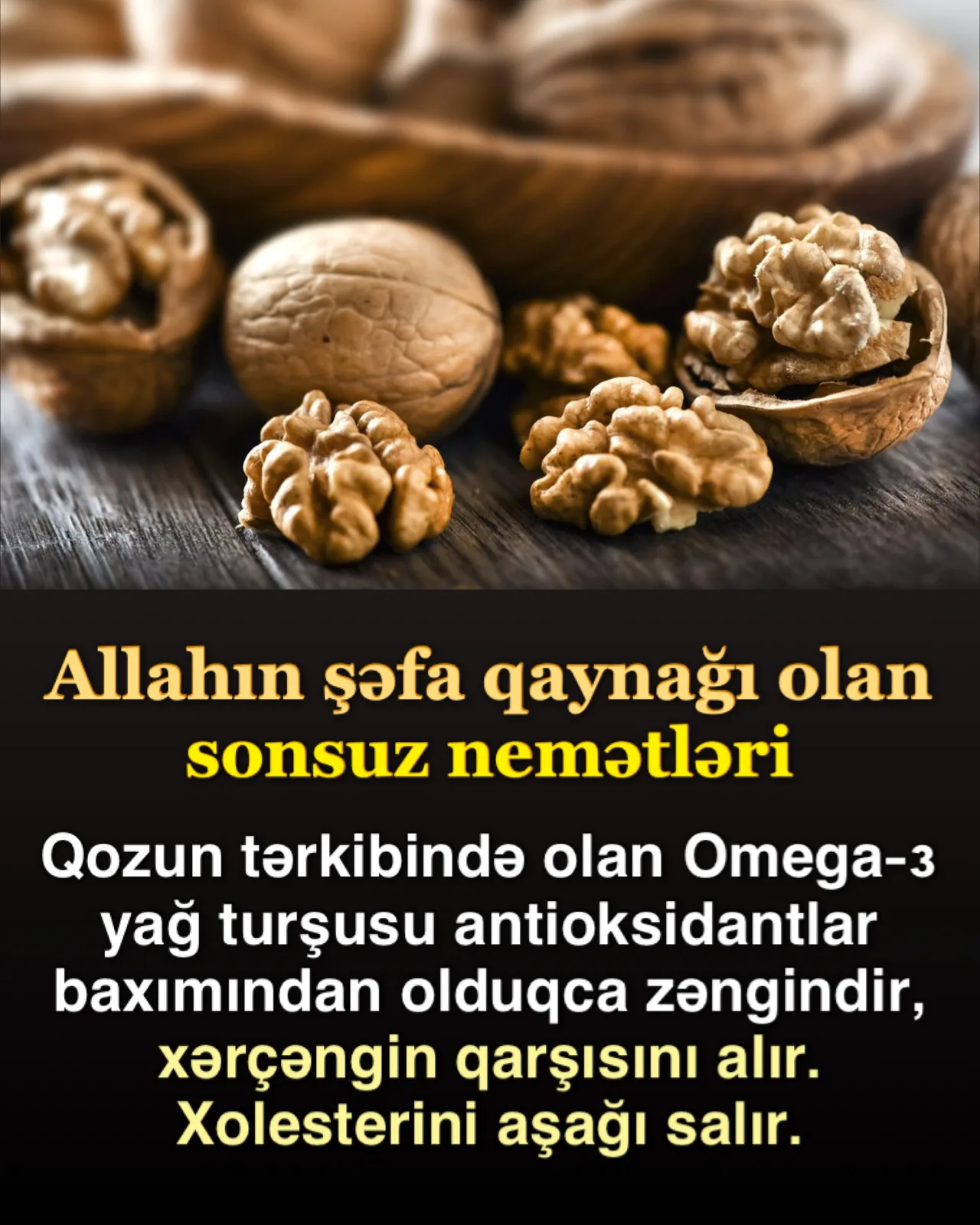 Hər şey iman dəlilidir