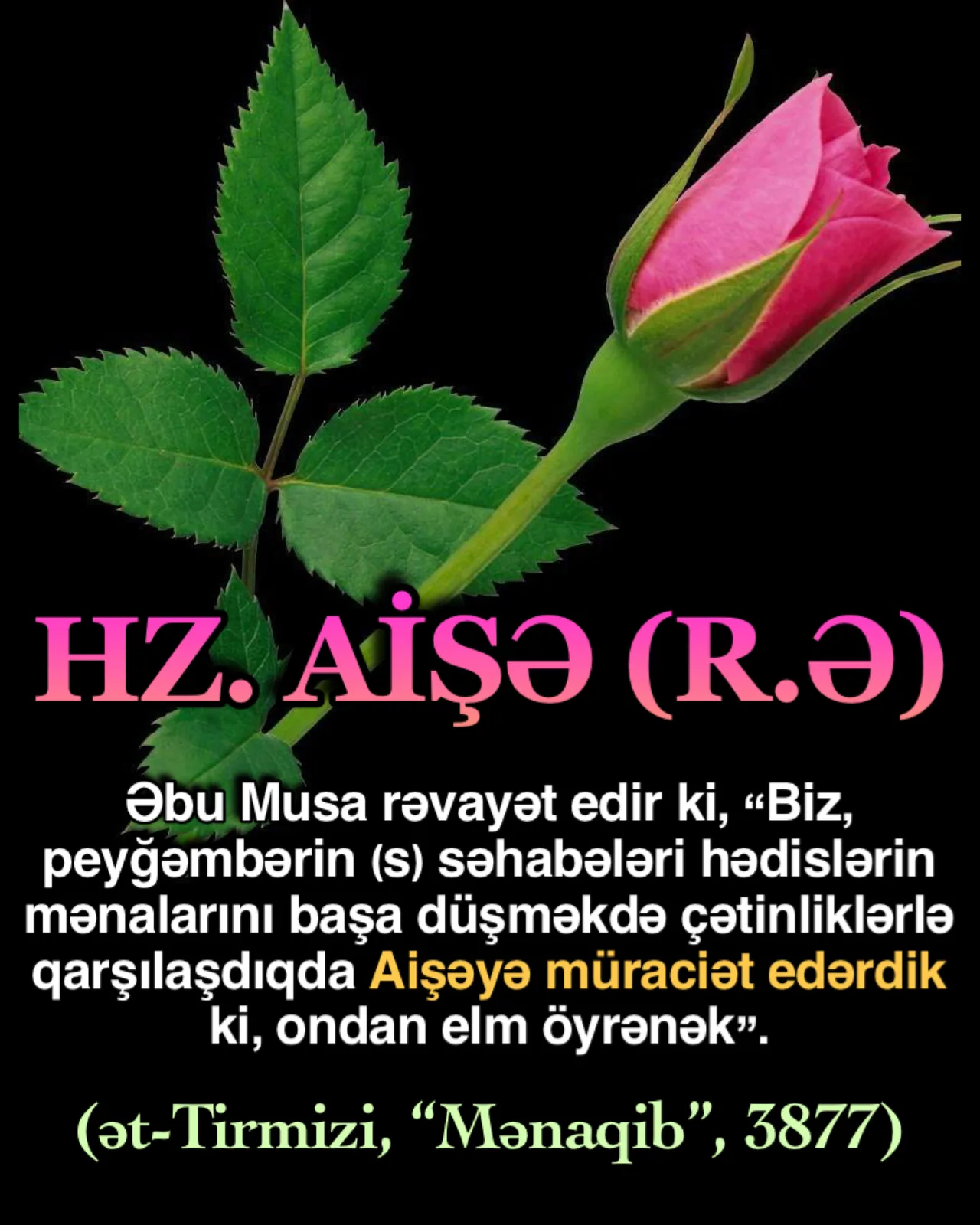 Hz. Aişə (r.ə), sevimli Peyğəmbərimiz Hz