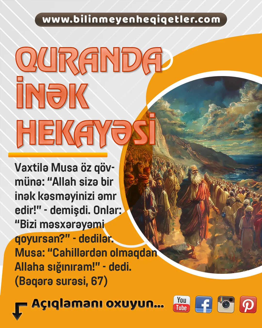 Quranda inək hekayəsi