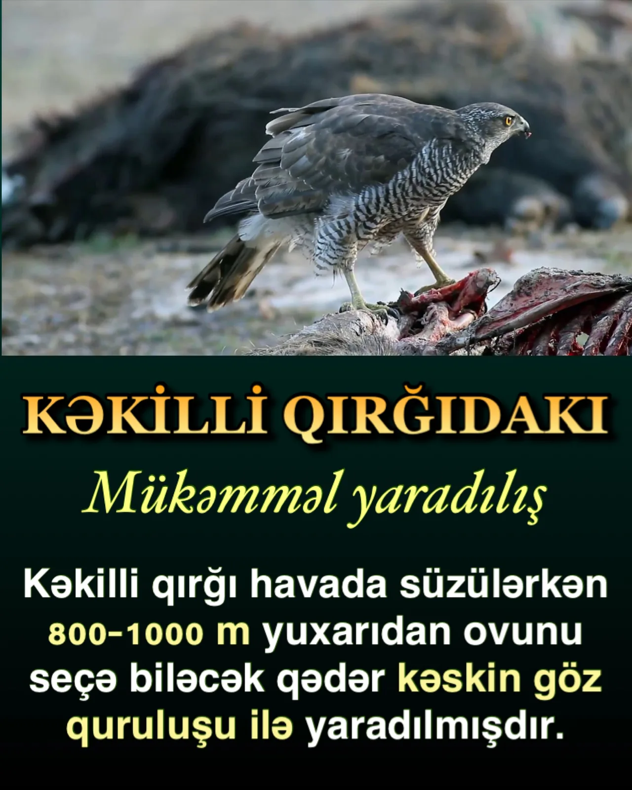 İman həqiqəti nə deməkdir?