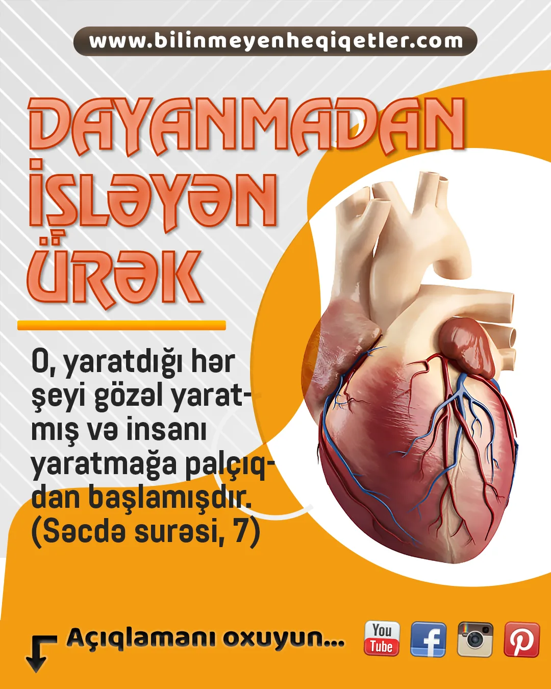 İnsan bədənində 100 trilyon hüceyrədən keçən qan dövranı sisteminin ən mühüm elementi