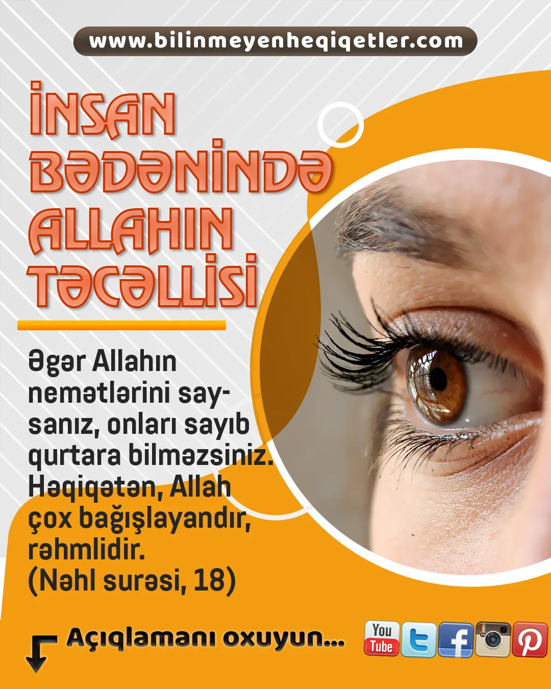 İnsan bədənində təxminən 100 trilyon hüceyrənin, sümüklərin, tənəffüs sisteminin, orqanların