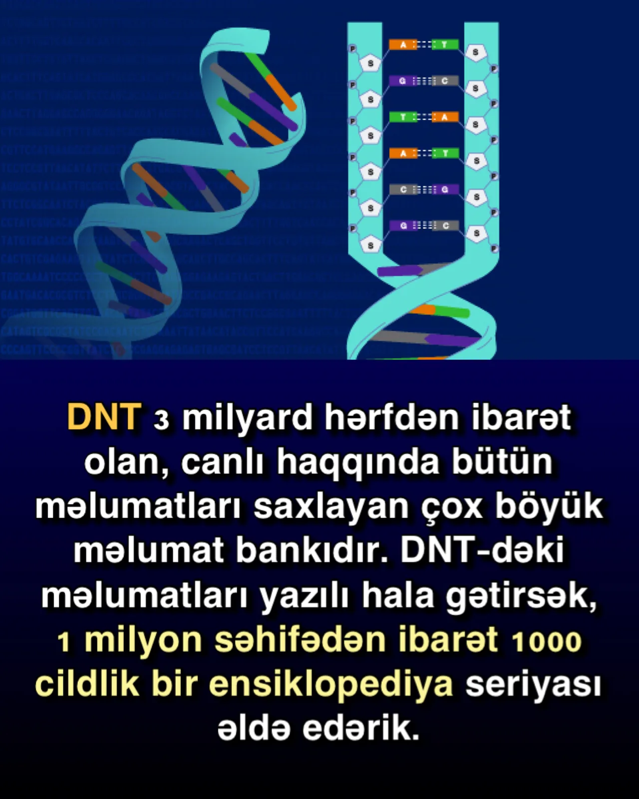 İnsan genindəki qüsursuz quruluş
