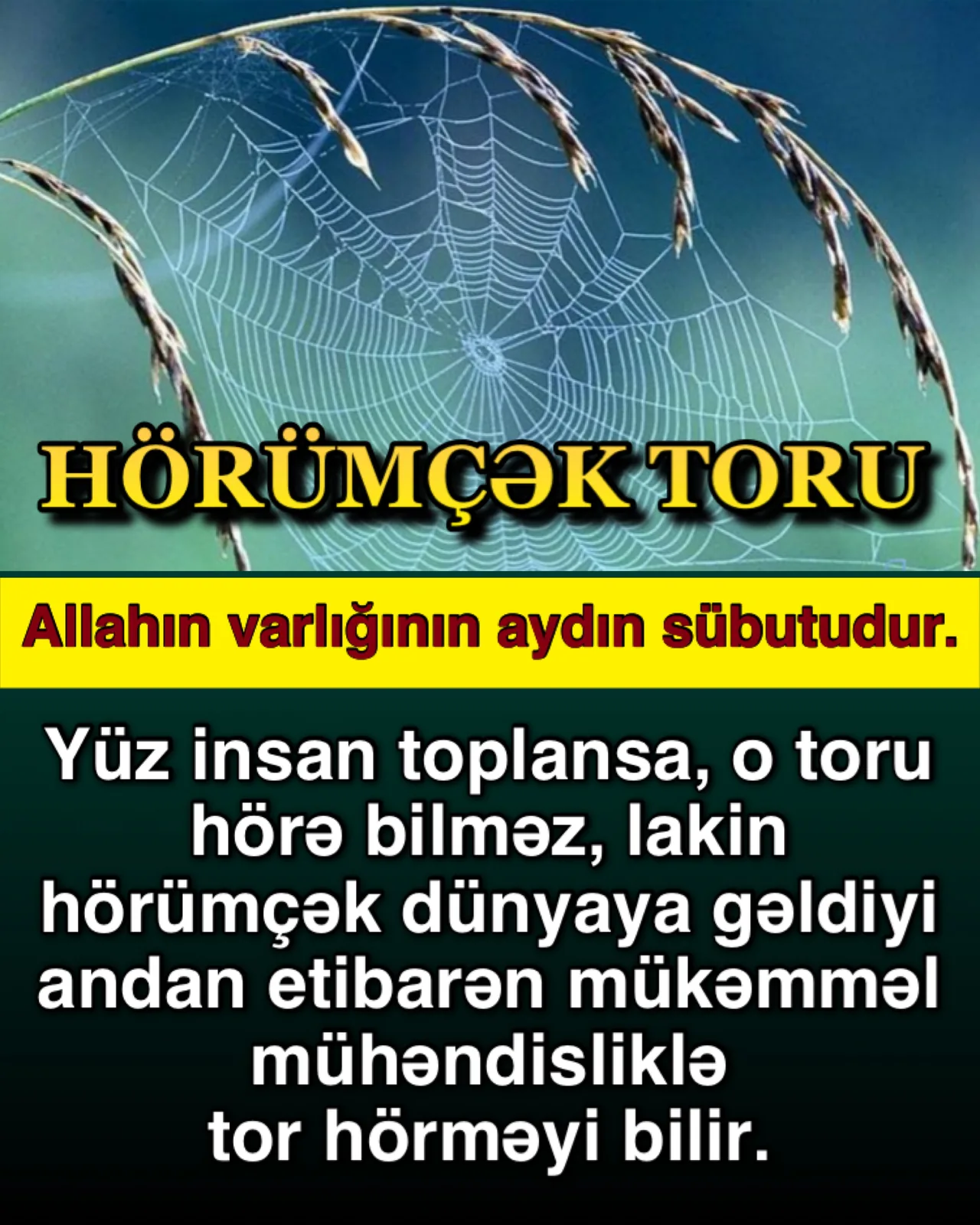 İnsan ibadət üçün yaradılıb