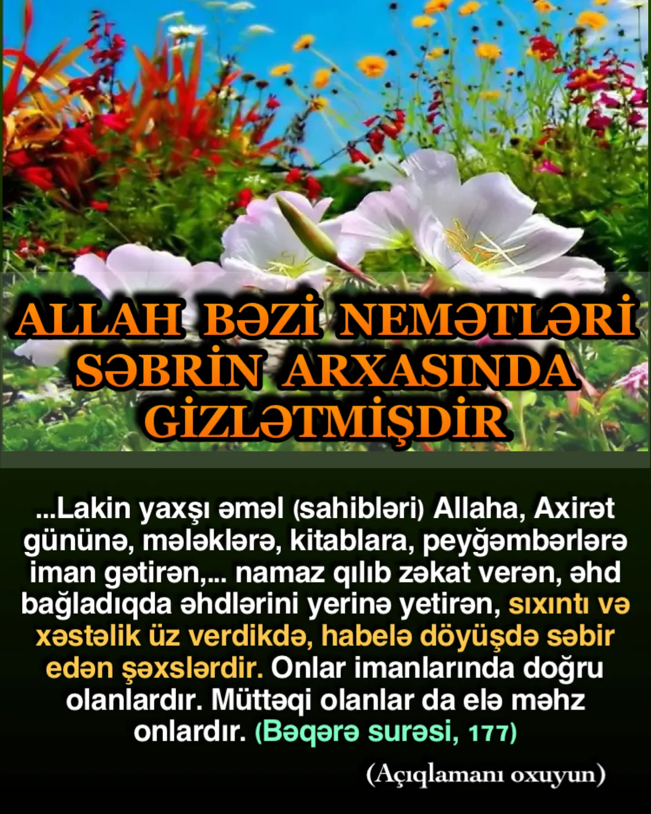 İnsan iradəli, ağıllı, vicdanlı olmadığı təqdirdə çox səbirsiz olur