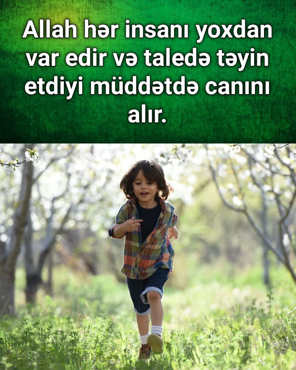 Ömrün bir göz qırpımında keçməsi