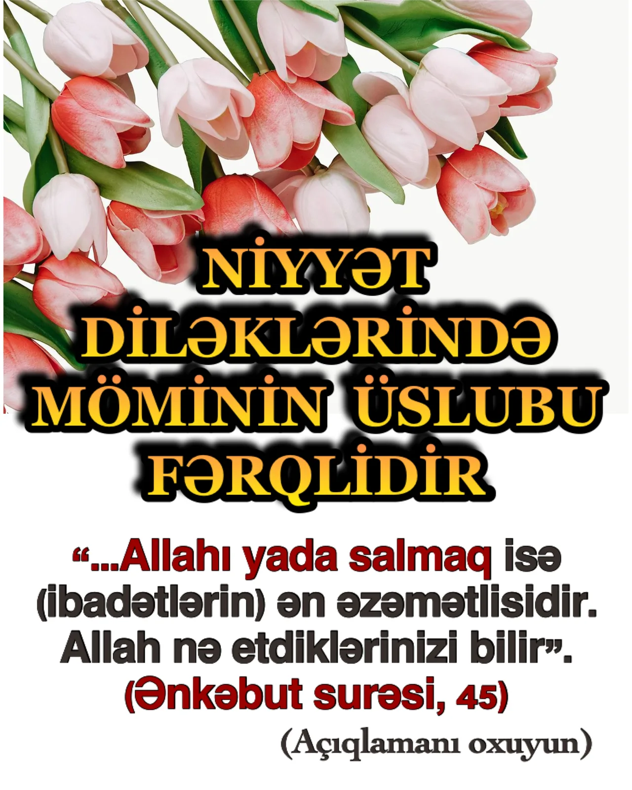 İnsan münasibətlərindəki bəzi danışıq üslubları vərdiş halına gəlmişdir
