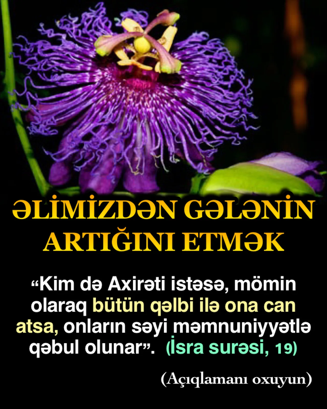 İnsan yaradılışında olan ən əsas xüsusiyyətlərdən biri “istəmək”dir