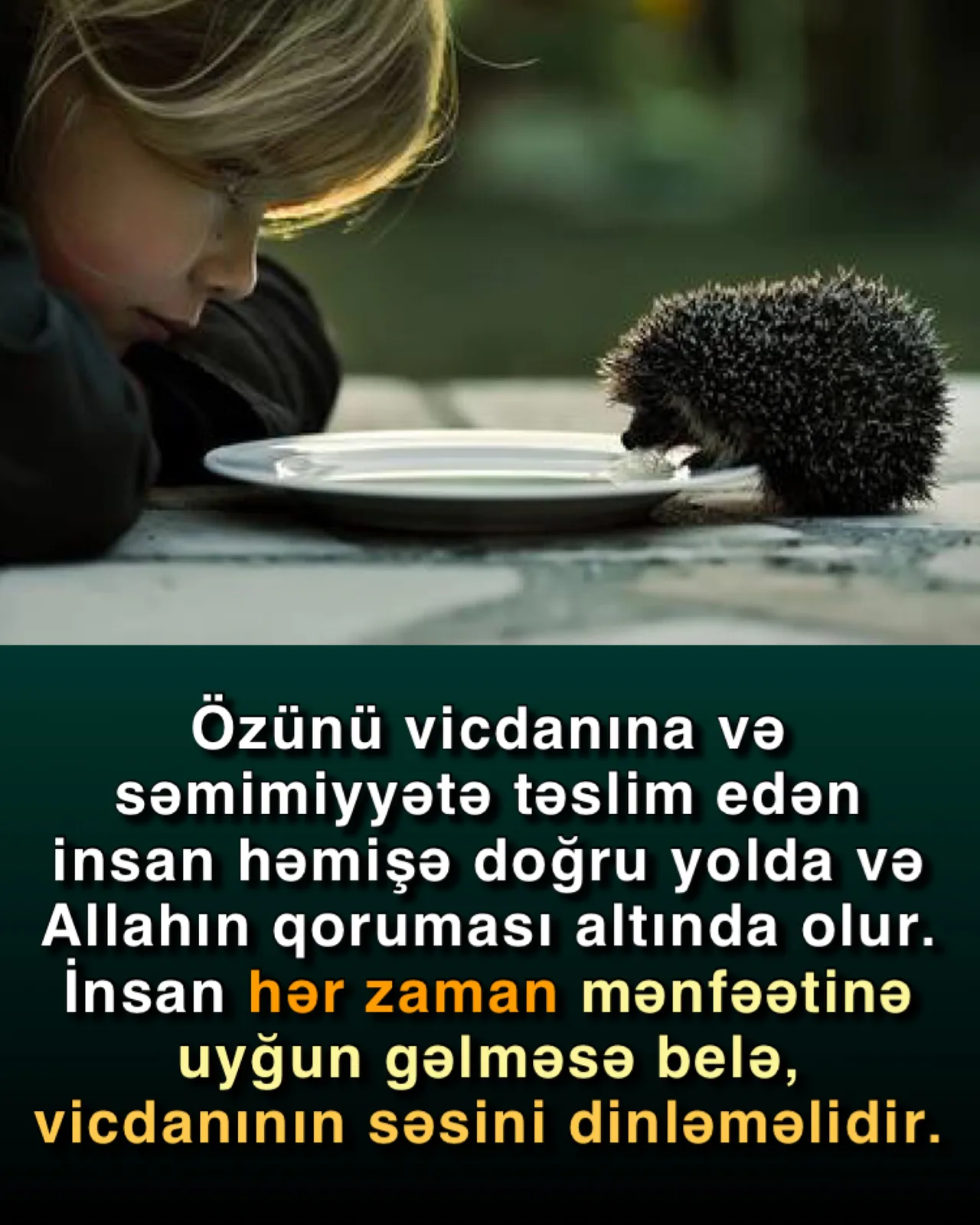 İnsanın içindəki iki səs: nəfs və vicdan