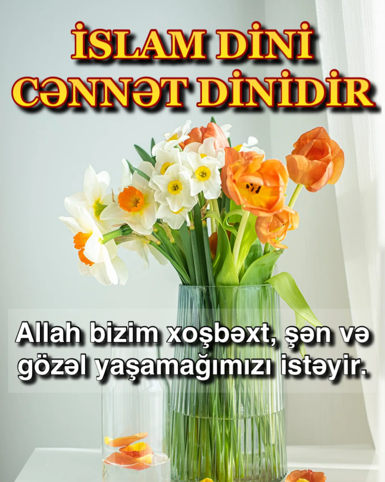 İnsanlar niyə bədbindir?