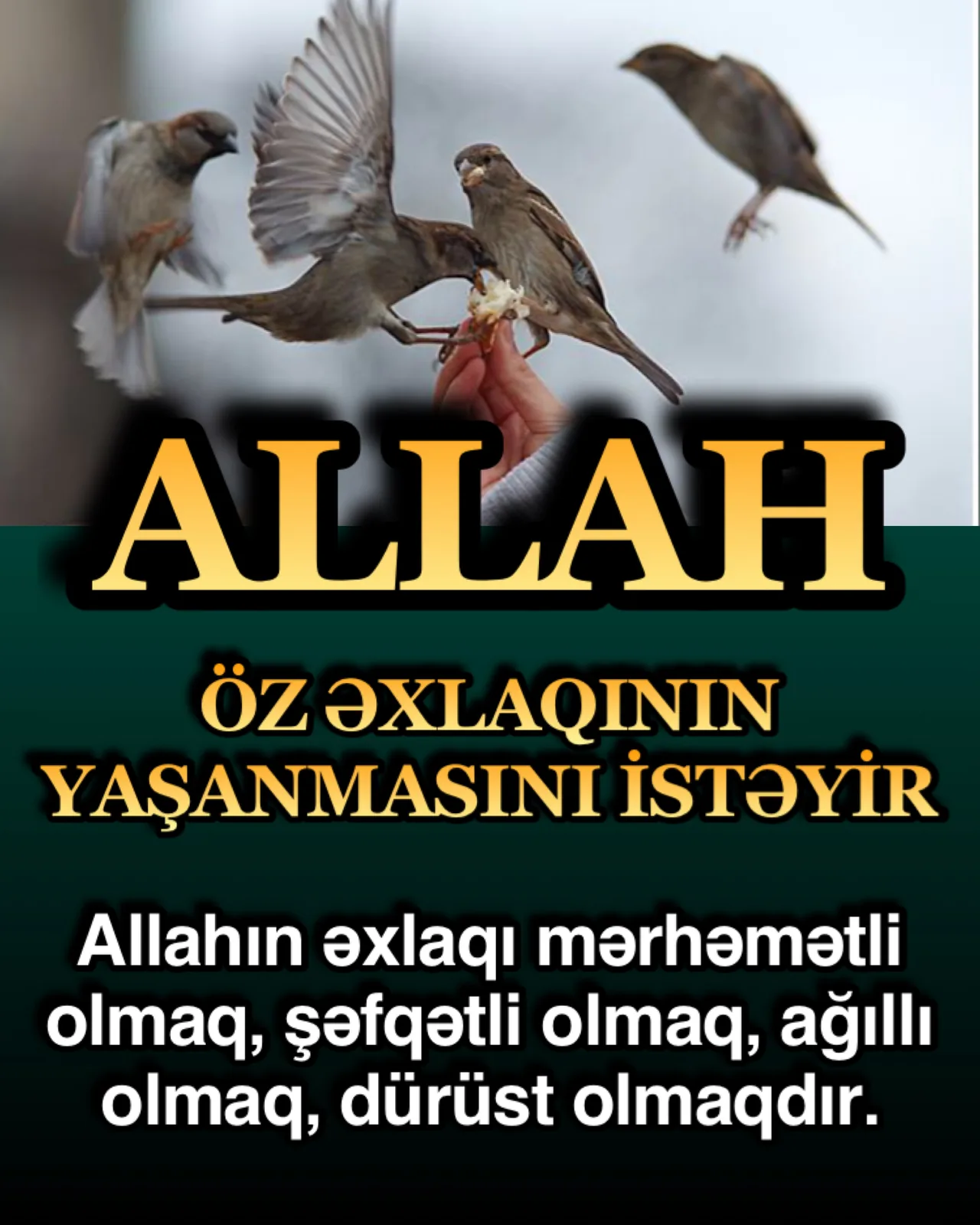 İnsanlar üçün öyüd olan Quran, Allahın sözüdür