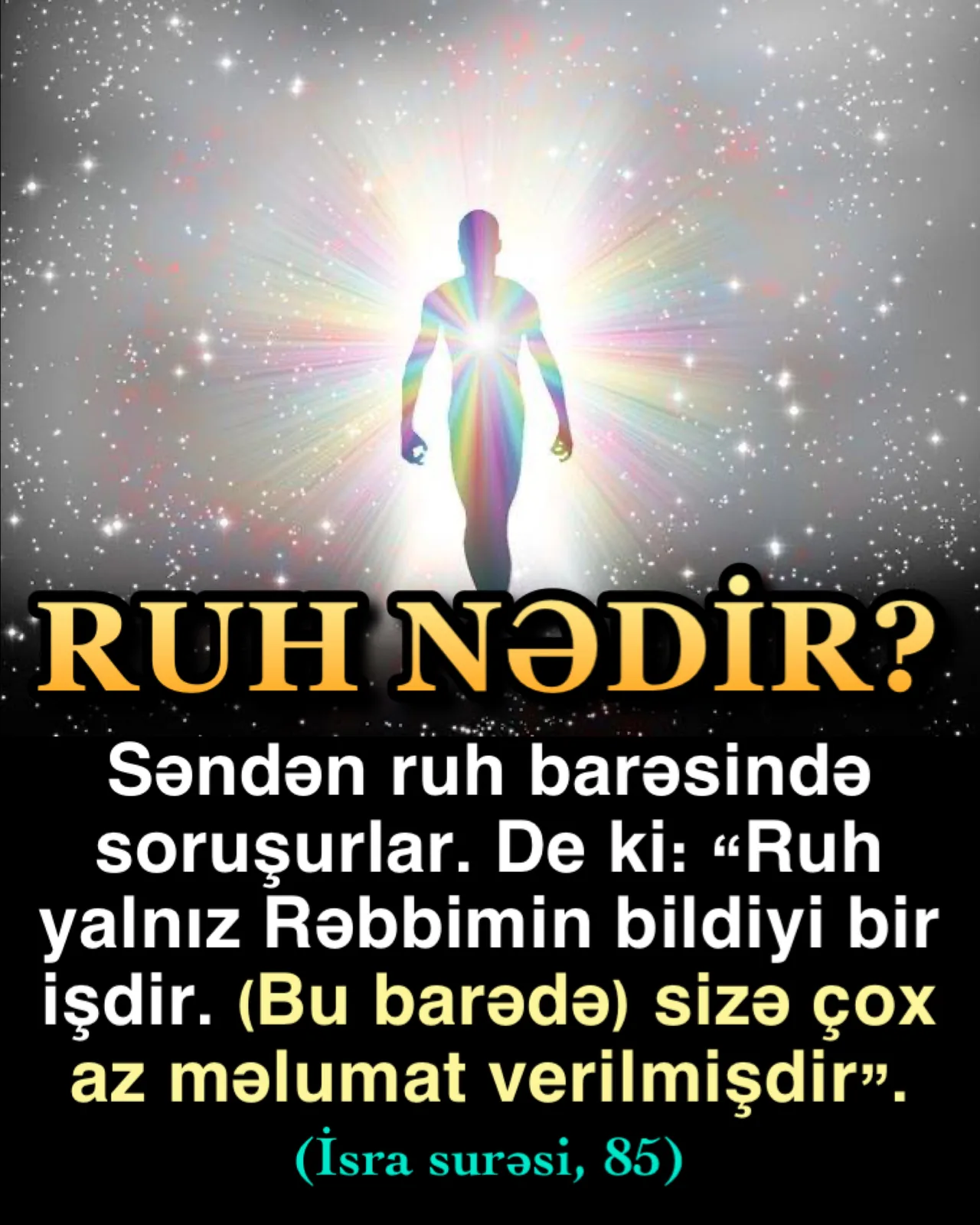 İnsanlara bu günə qədər qəbul edənin beyin olduğu öyrədilmişdir