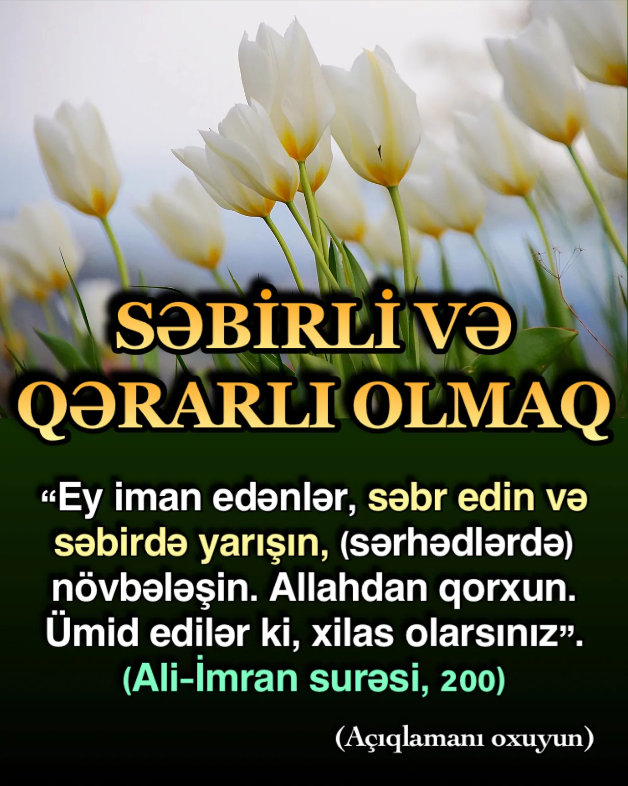 İnsanların çoxu ancaq zəruri vəziyyətlərdə və edəcək başqa şey qalmadıqda səbirli olmağa
