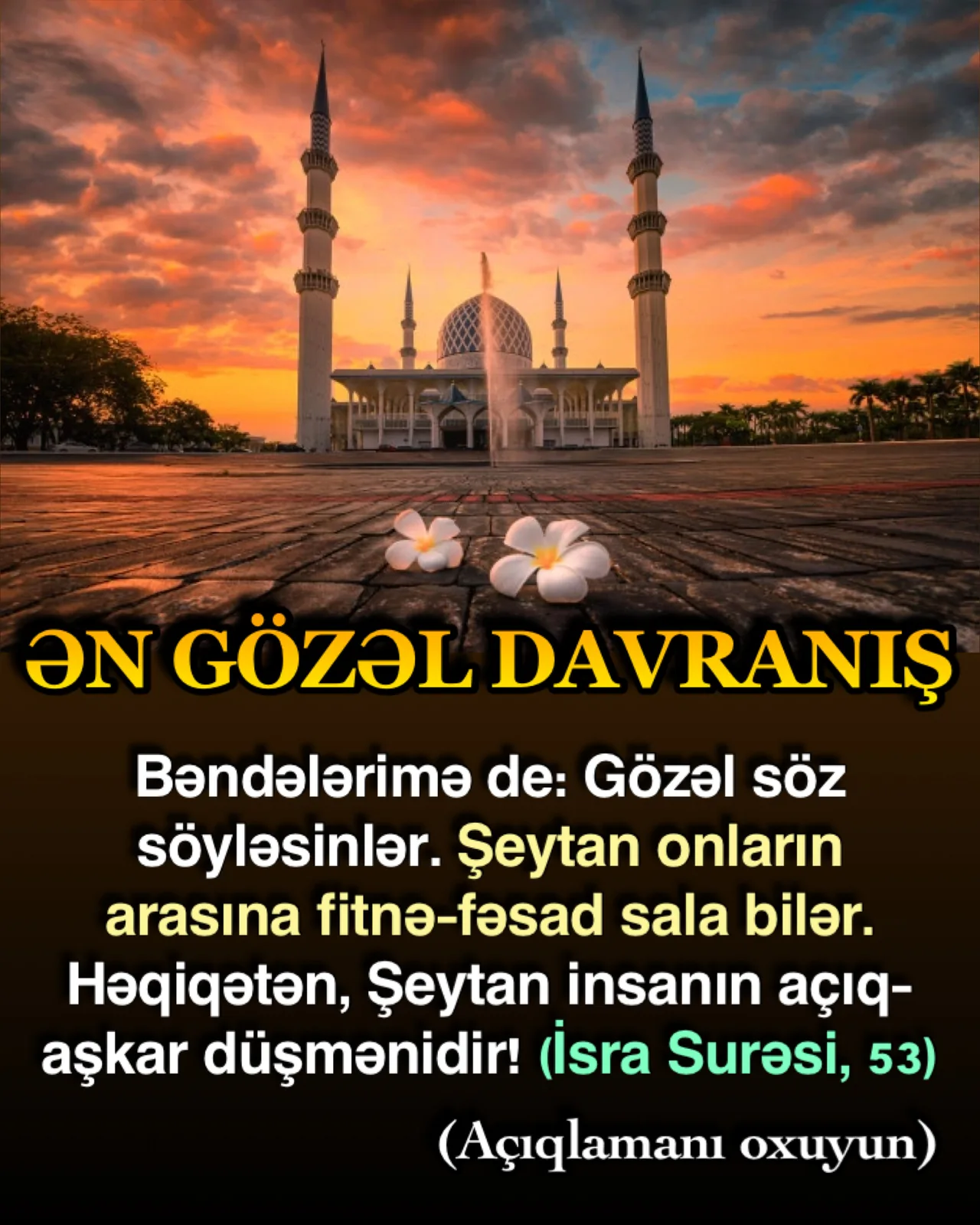 İnsanların geniş şəkildə tətbiq etdikləri bəzi davranış formaları vardır ki, baxıldığında