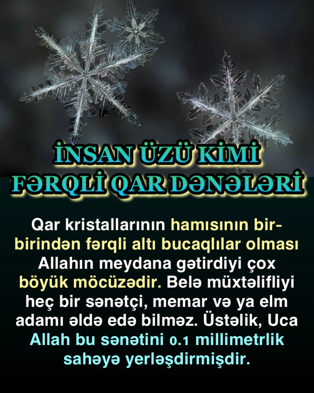 İslam dünyası və gələcək