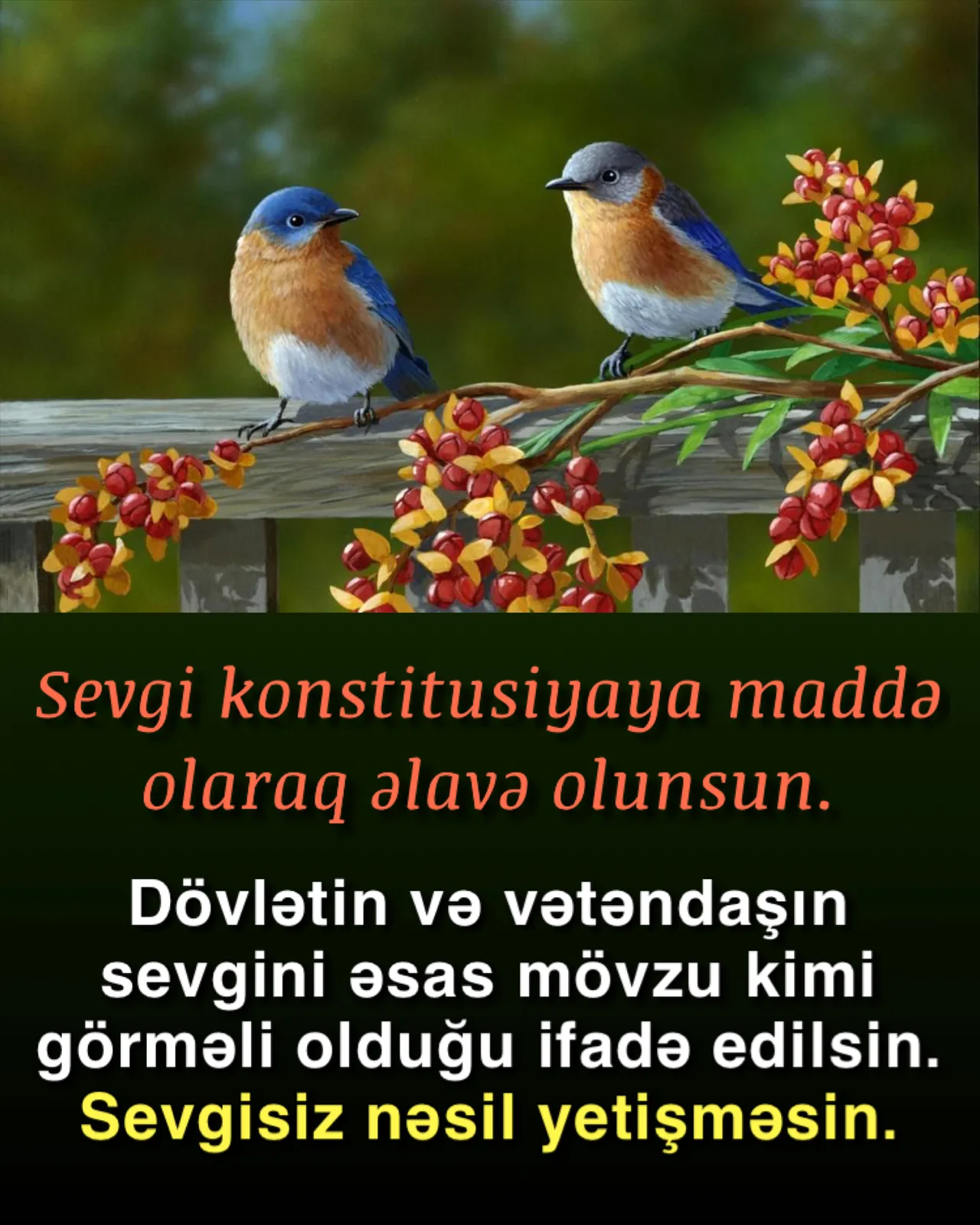 İslam dünyaya sevgi və fikirlə hakim olacaq