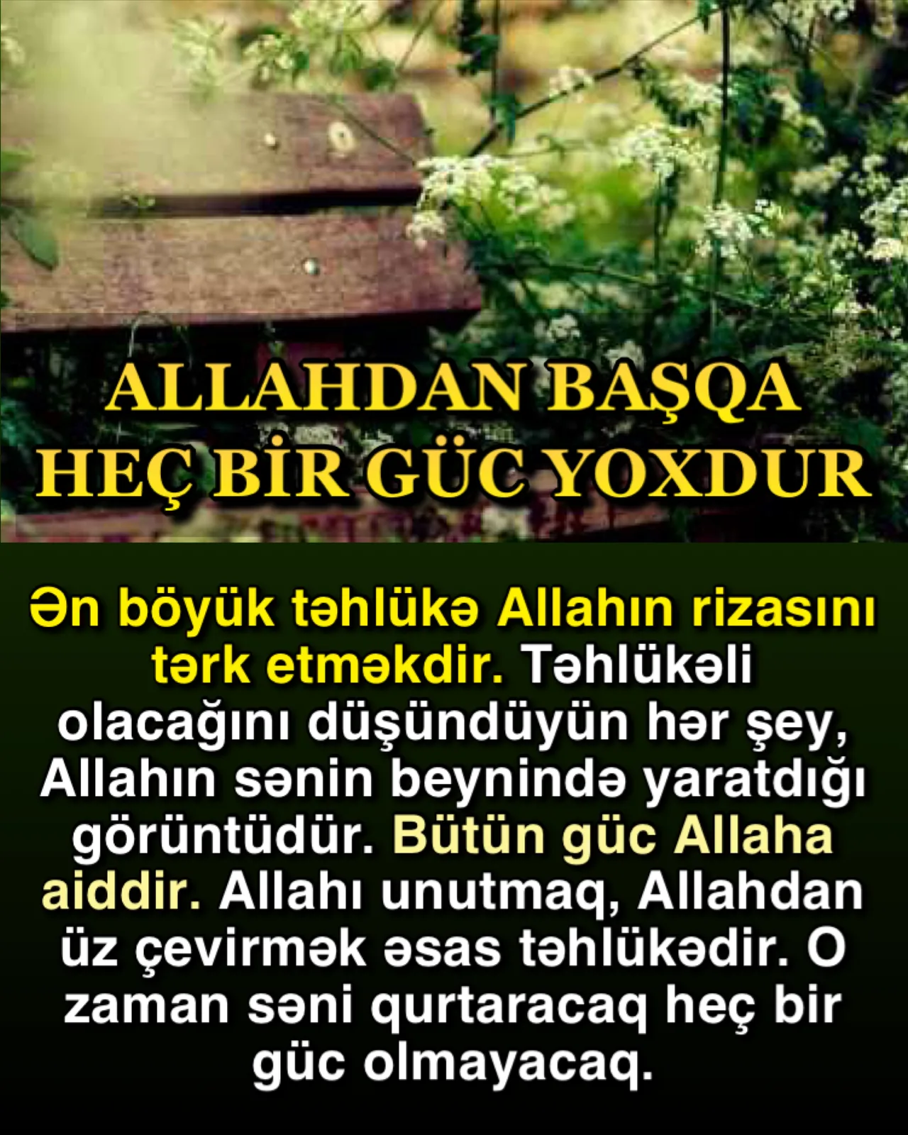 İslamın təməli, Allahın varlığını anlamaq və Ondan başqa heç bir İlah olmadığını dərk etməkdir