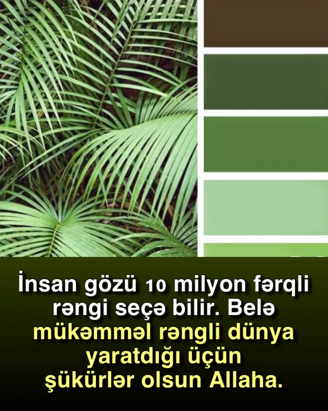 Kirpiklər – gözün müdafiə sistemi