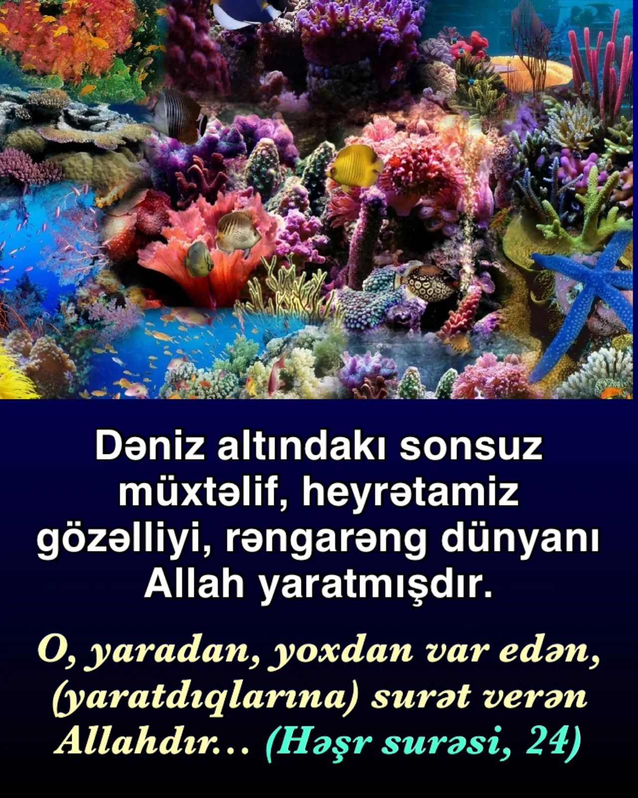 Materializm təsadüflərlə izah edilə bilməz