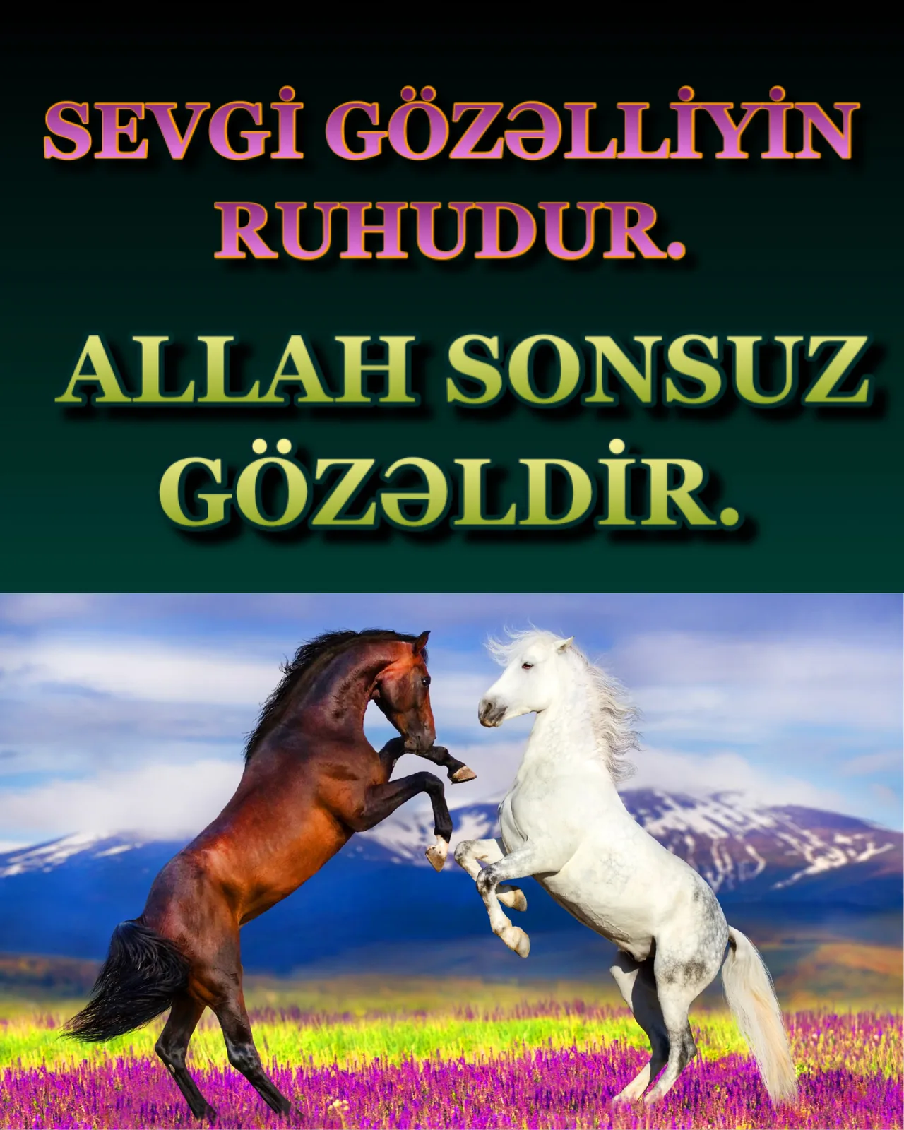 Minnətdarlığı göstərmək