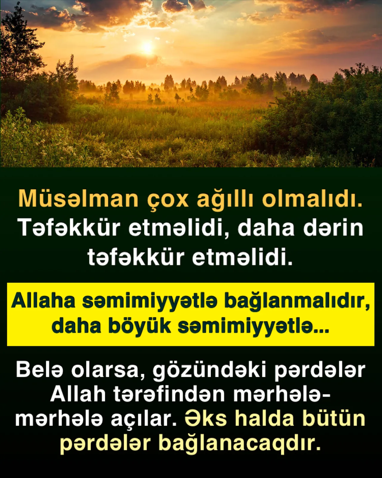 Mömin imanı dərəcəsində nemətlərdən zövq alır