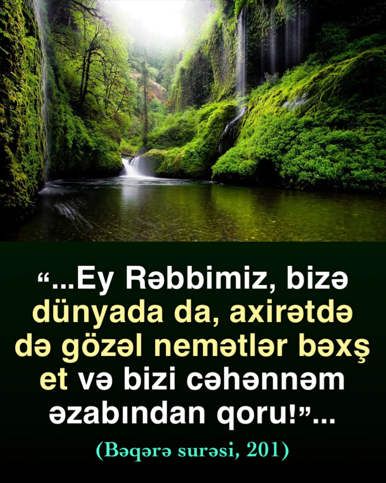 Möminin Allahdan istədikləri