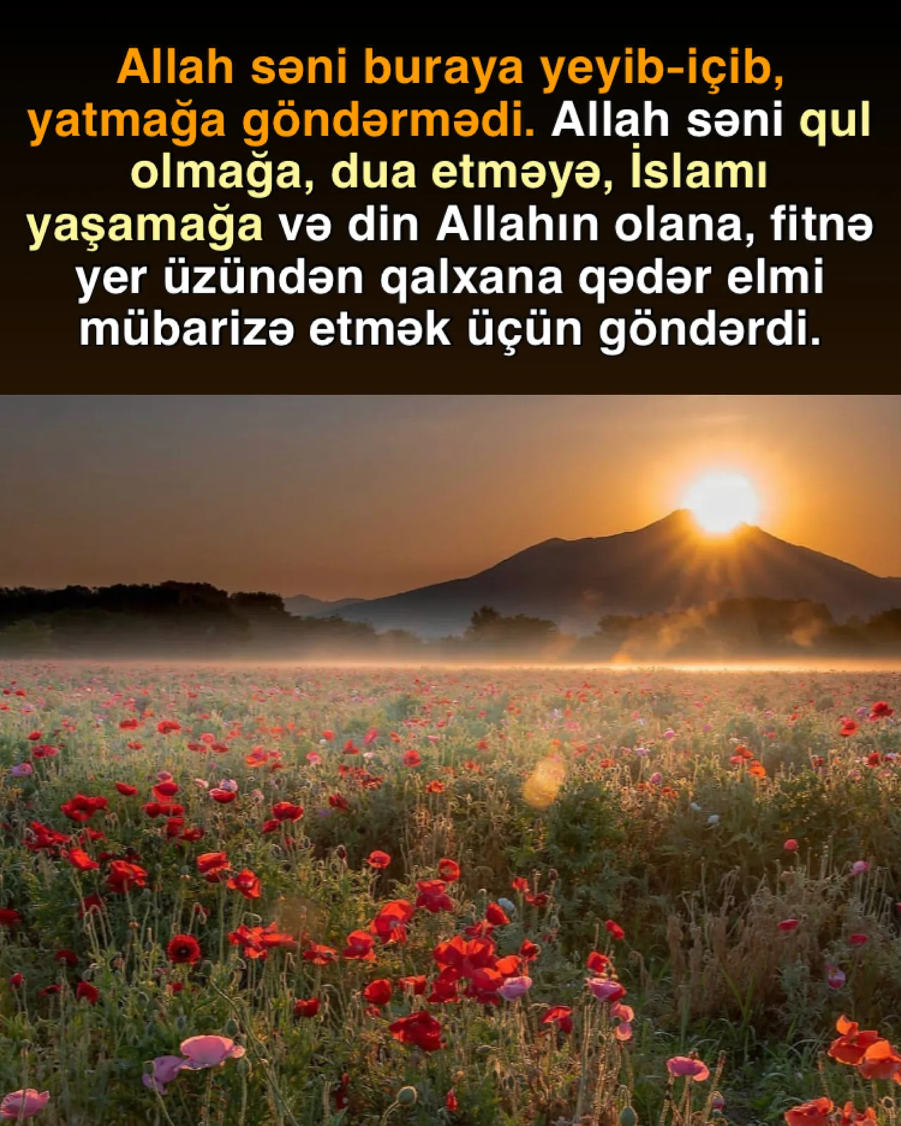 Möminlərin fərqli dünyagörüşü