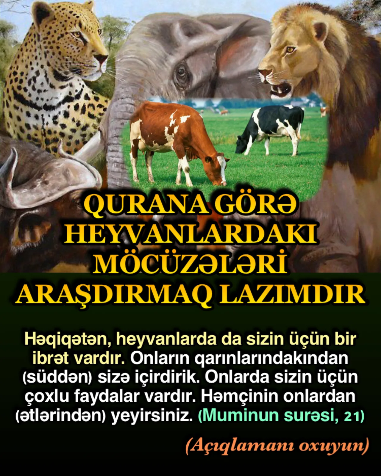 Muminun surəsi 21