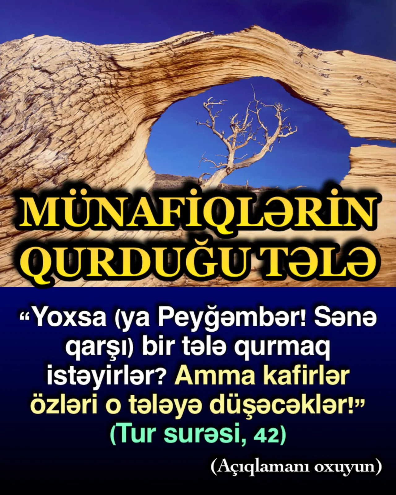 Münafiqlər tələ quran olarlar