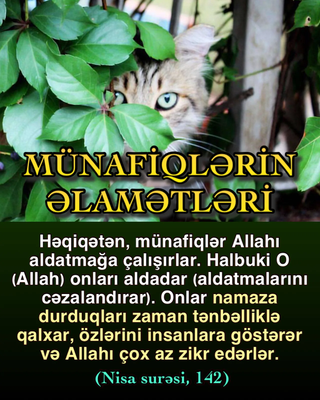 Münafiqlərin əlamətləri diqqətli mömindən gizlin qalmaz