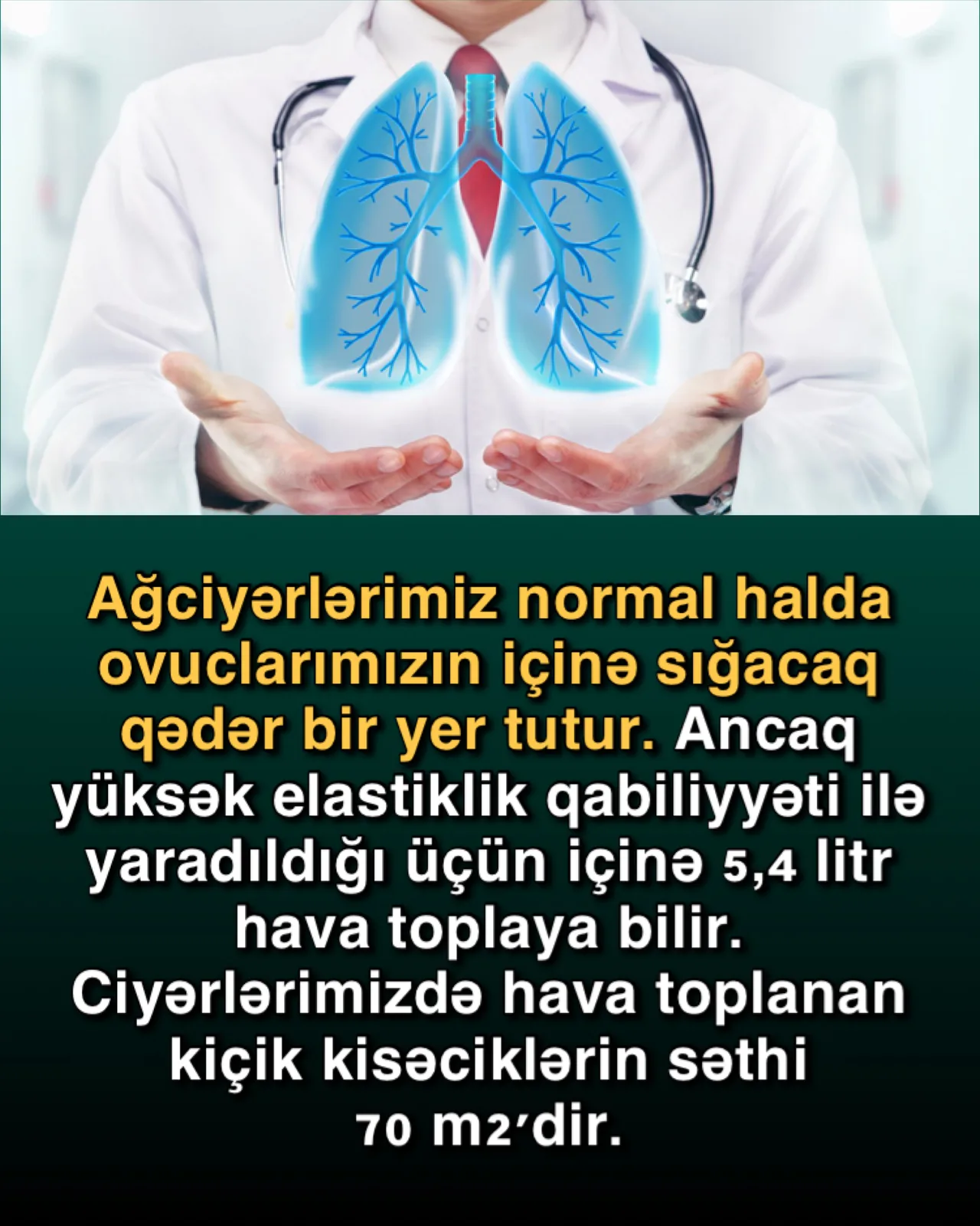 Nəfəs alma prosesindəki möcüzə