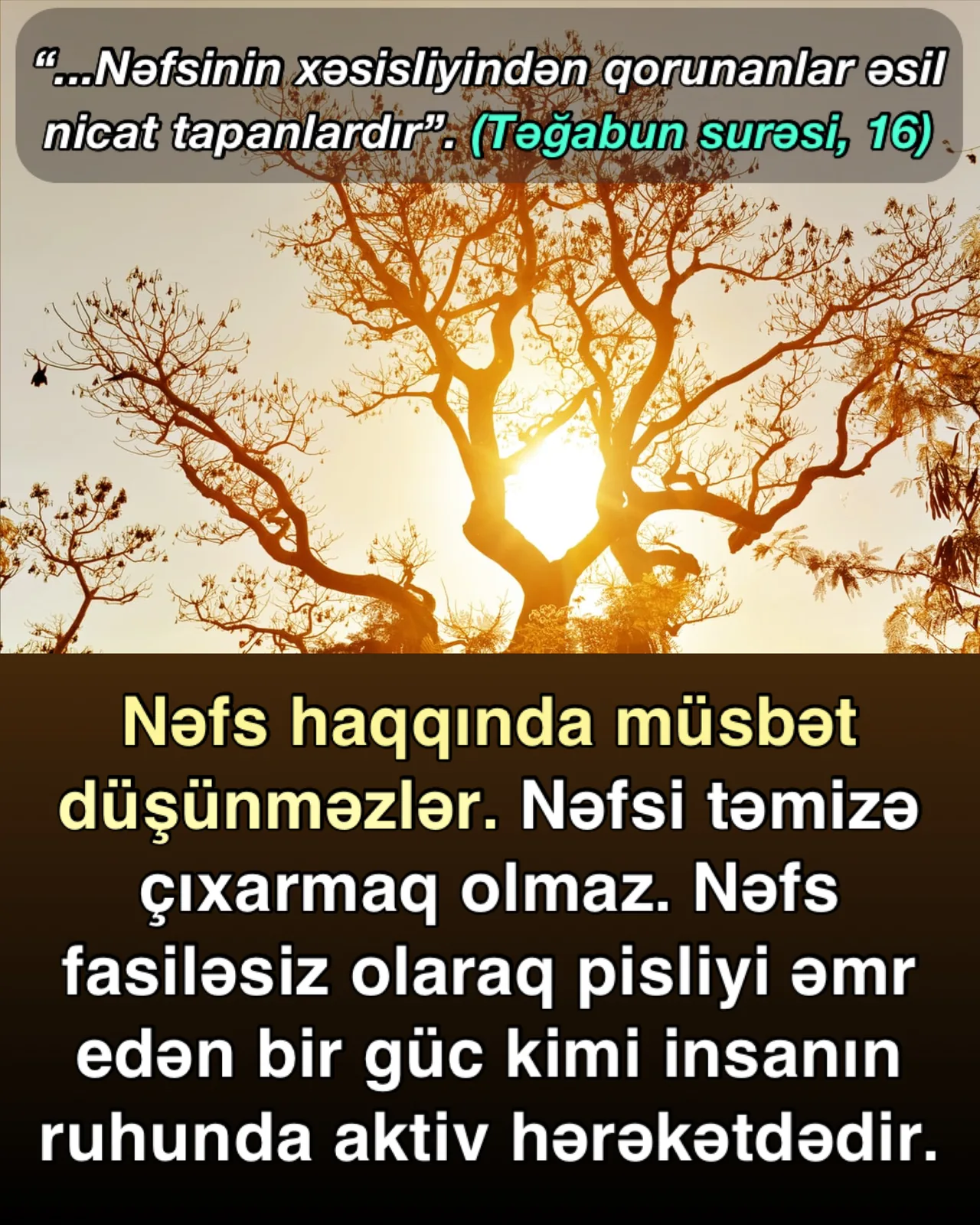 Nəfsin insandakı mənfi gücü
