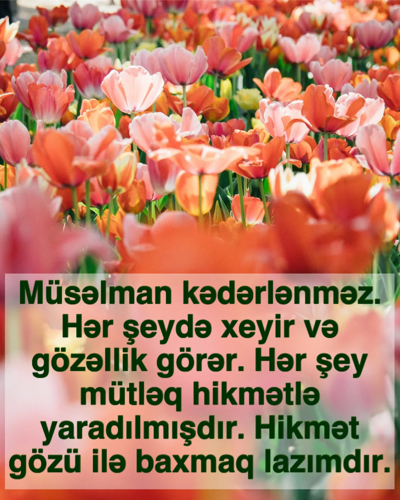 Ömrün hər saniyəsi qeyd olunur