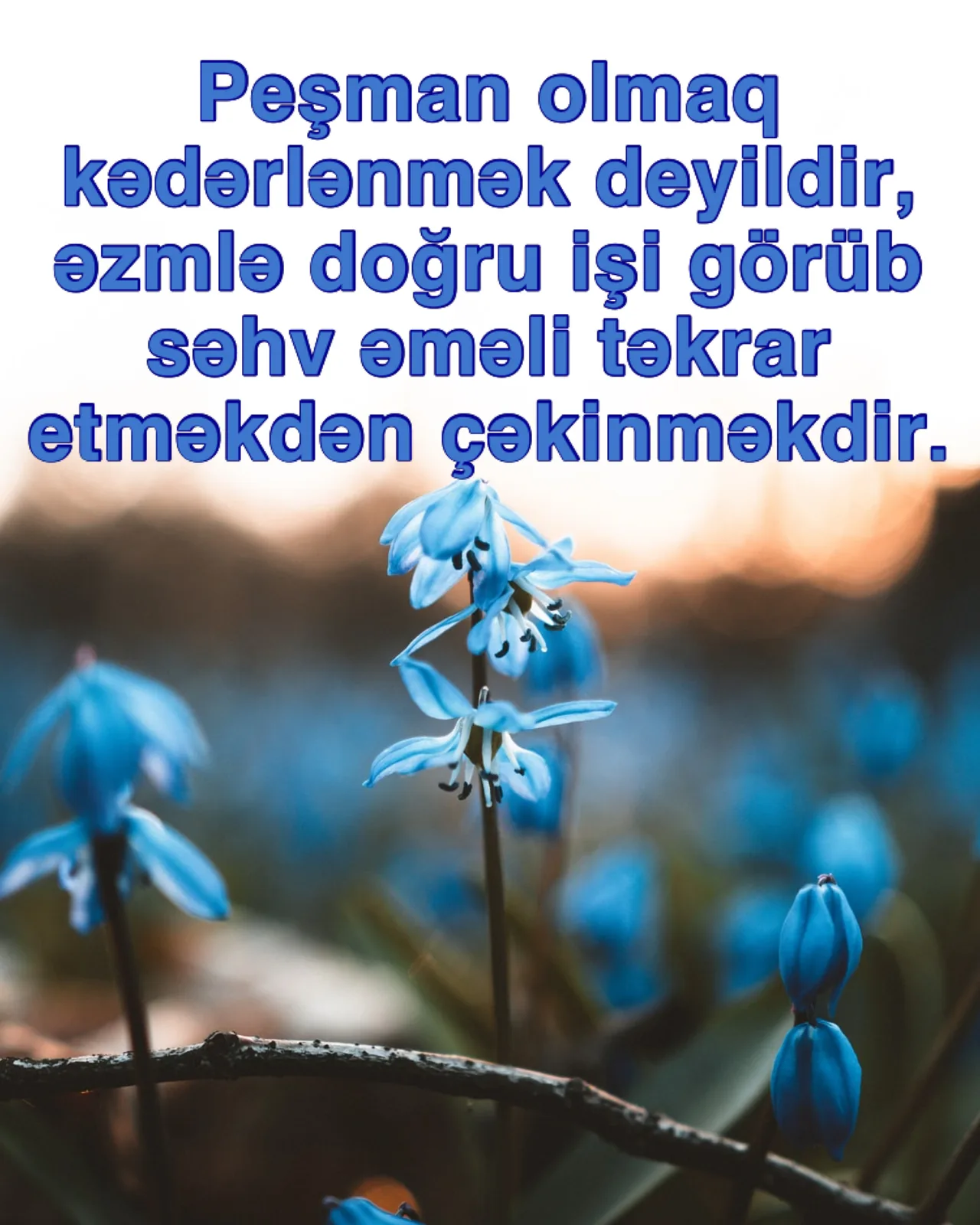 Peşmançılığın iki fərqli şəkli