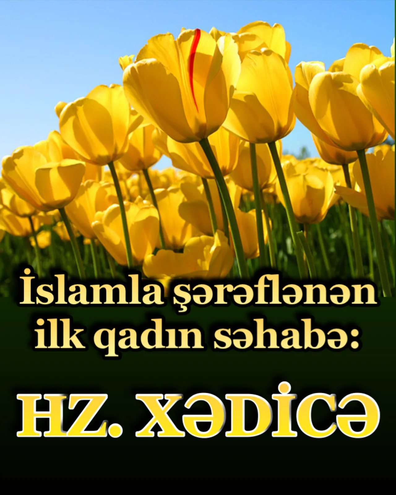 Peyğəmbərimiz hz