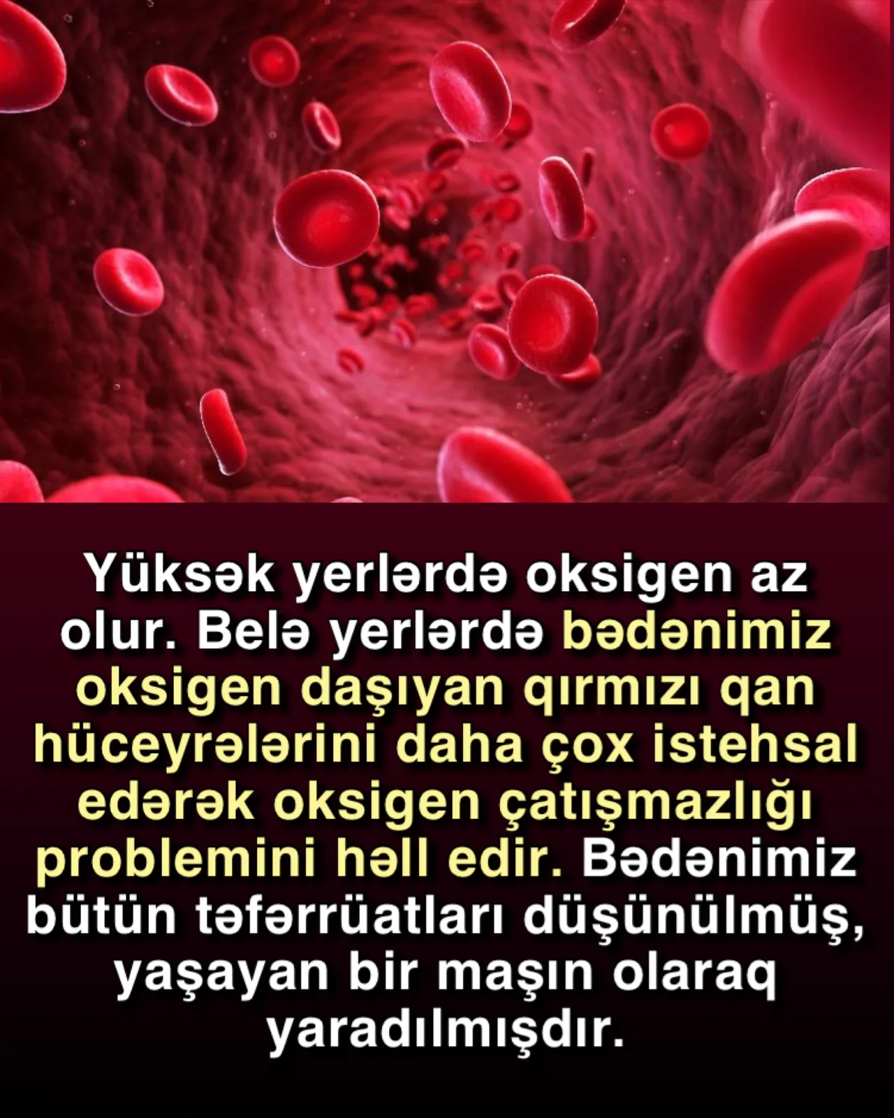 Qanı Əmələ Gətirən Zərrəciklər Kiçik Qırmızı Hüceyrələr: Eritrositlər