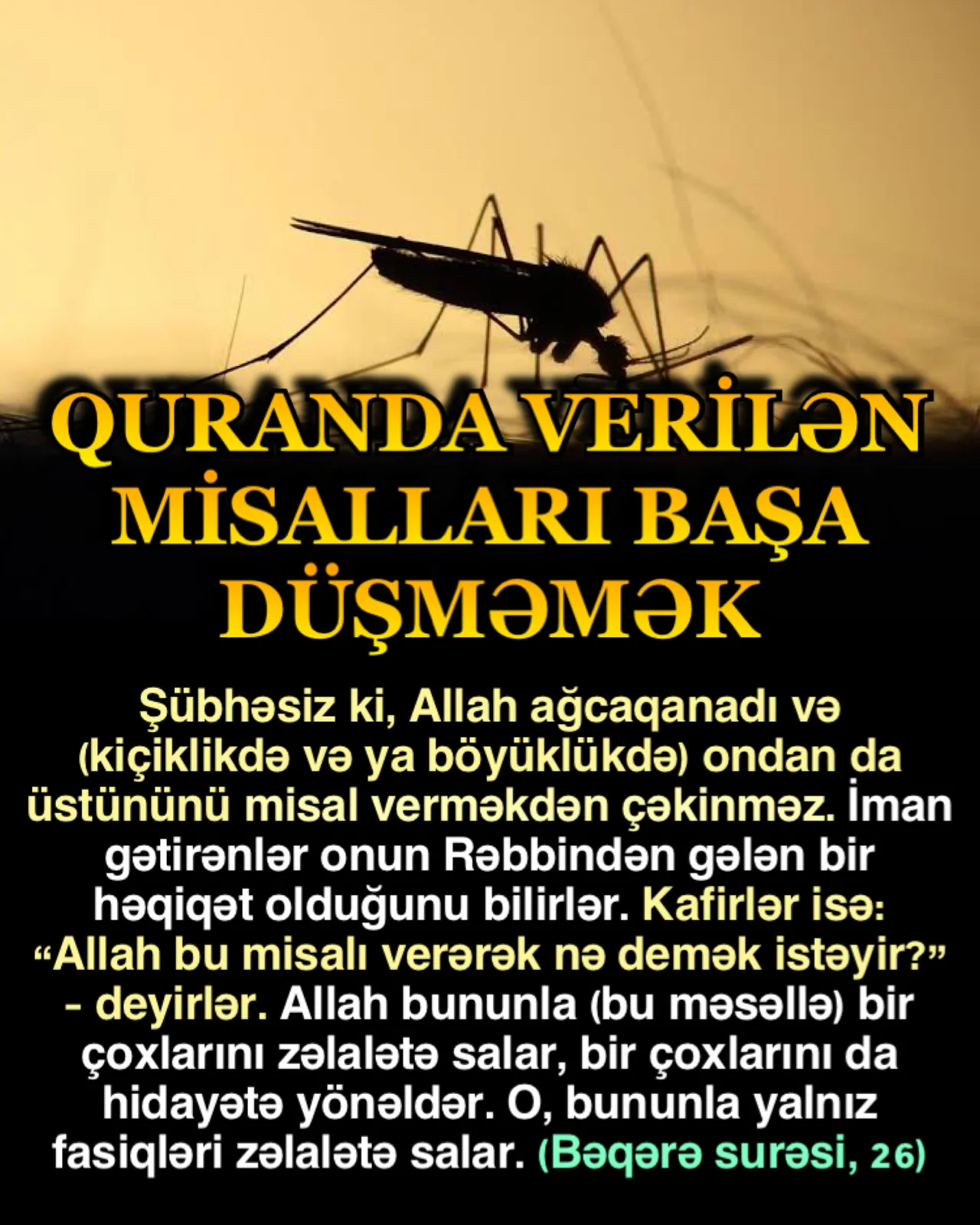 Quran, ancaq dərk edən, düşünən, səmimi insanların mənasını qavraya biləcəyi bir kitabdır