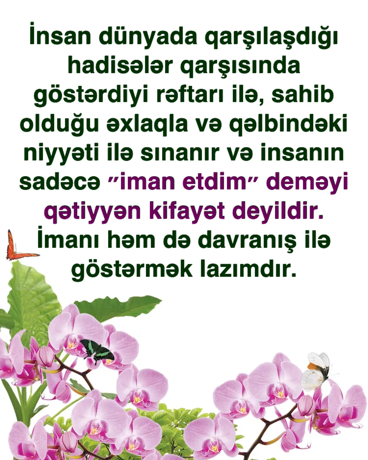 Quranın bütün hökmlərinə eyni diqqət