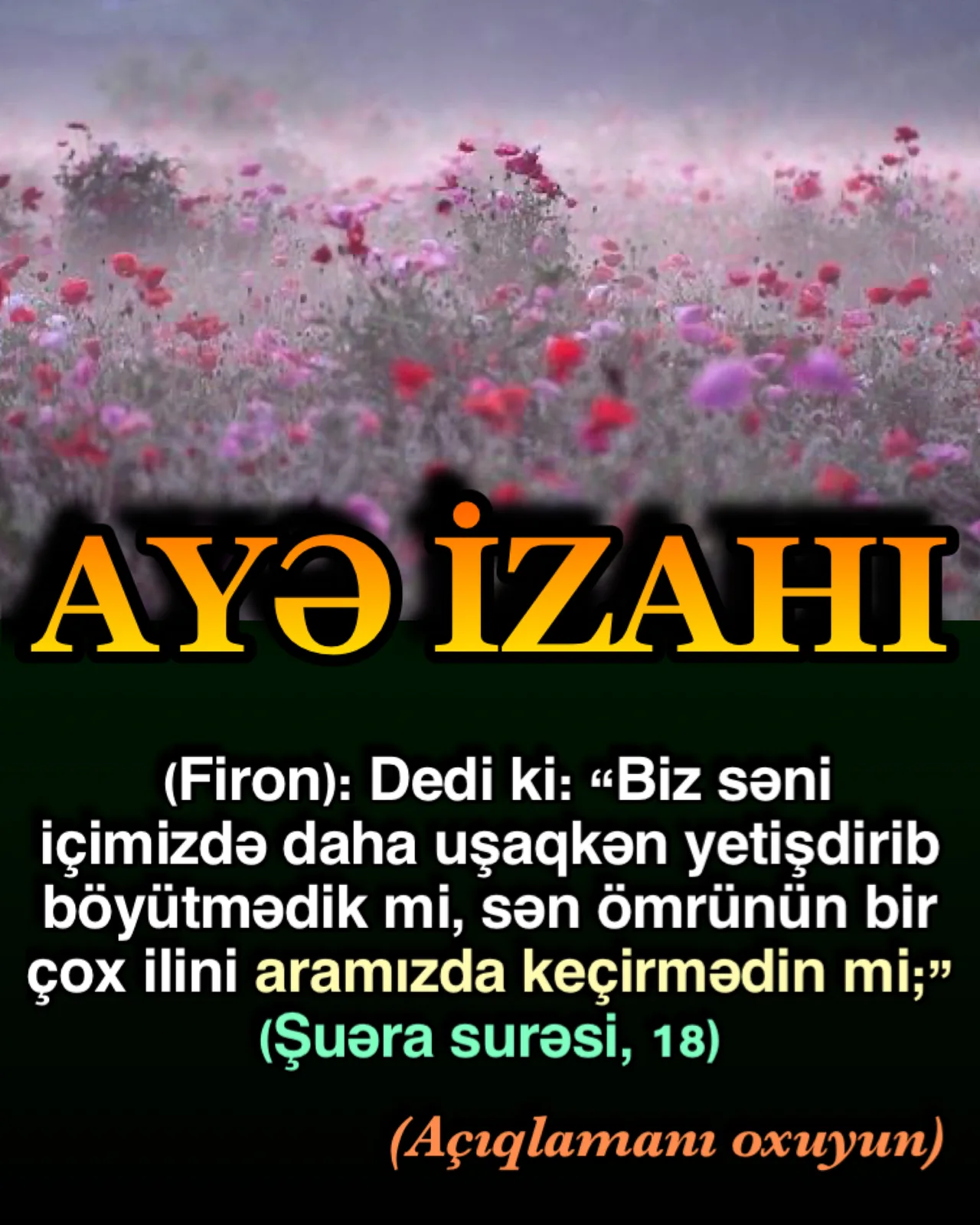 Quran surələri “Rəhman Rəhim olan Allahın adıyla” başlayır