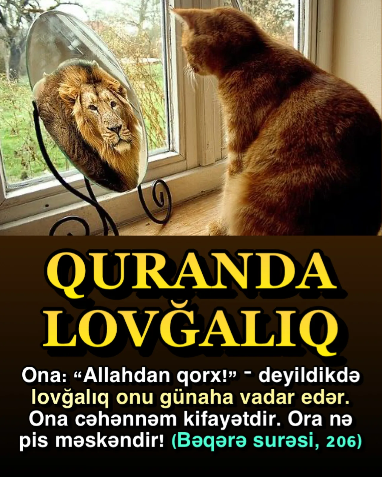 Lovğalanan insanın xüsusiyyətləri