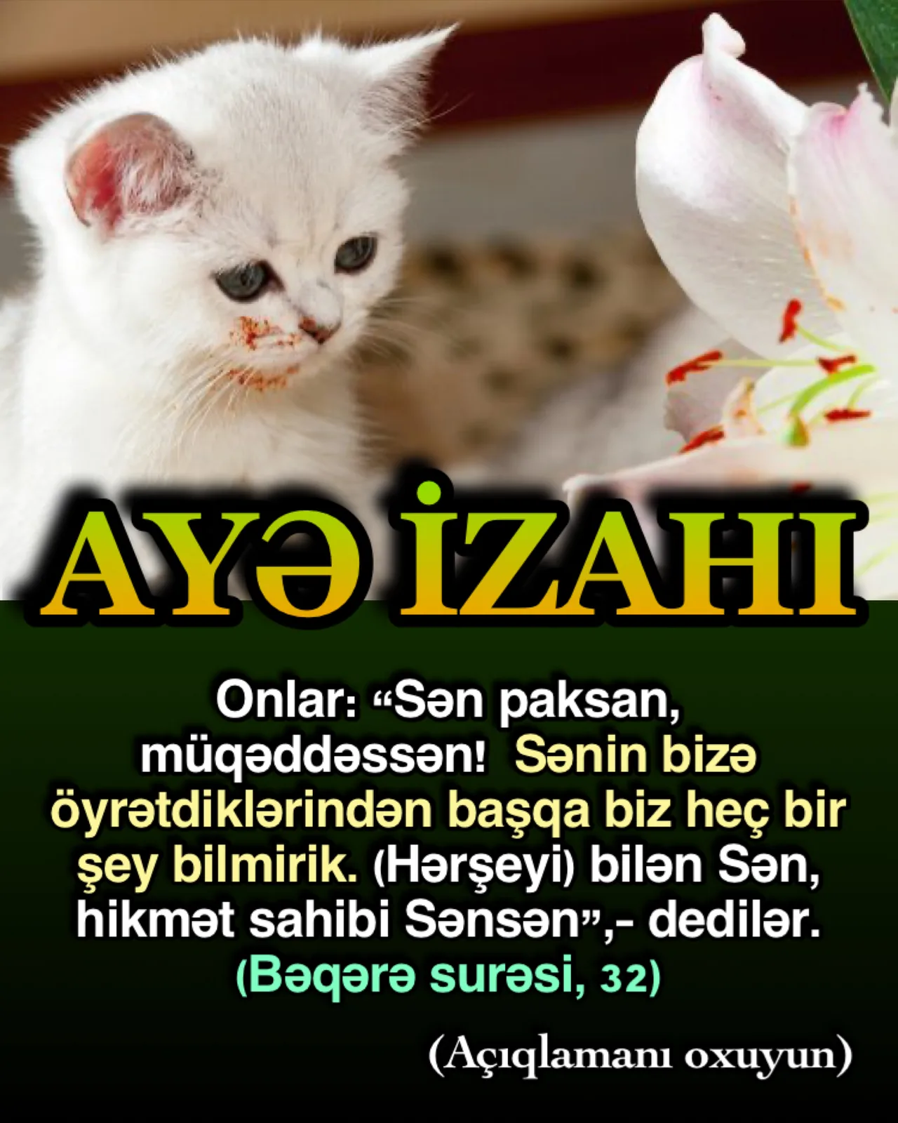 Quranda Allah mələklərə yer üzündə bir xəlifə yaradacağını və ona adların hamısını