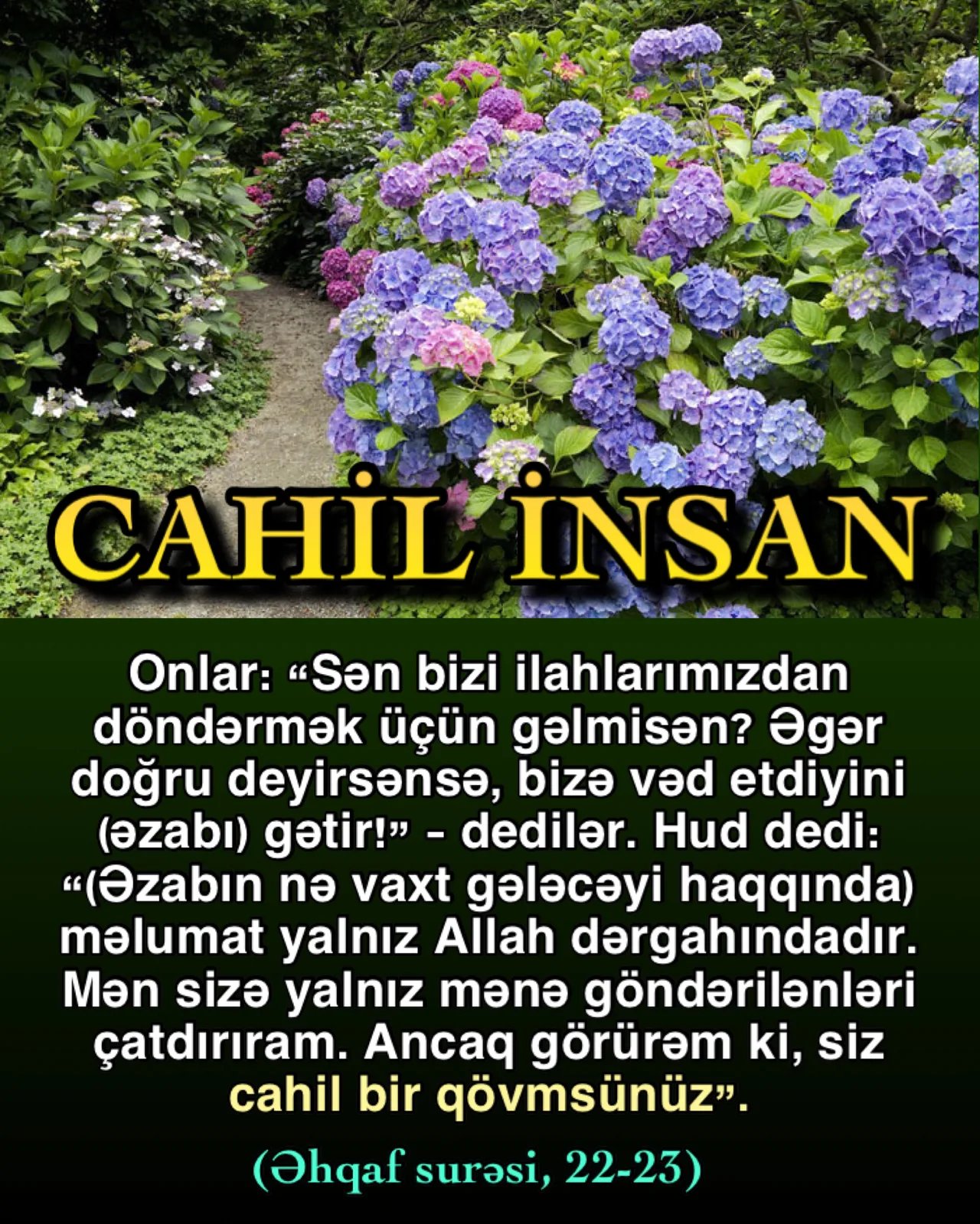 Quranda «cahillik» nə deməkdir?