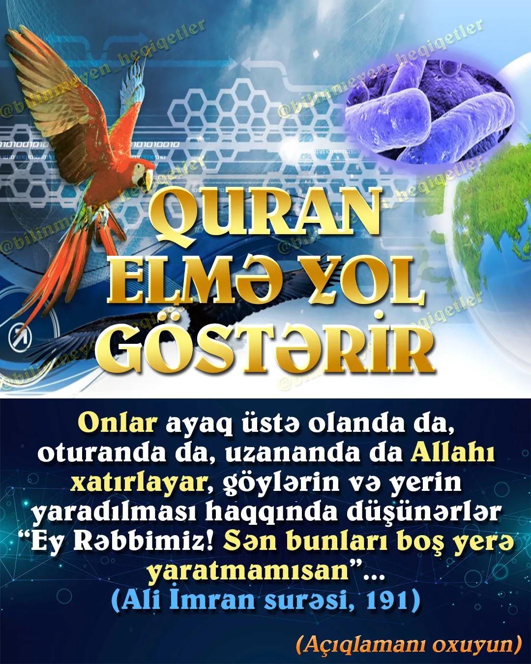 Quranda insanlar göylərin, yerin, dağların, ulduzların, bitkilərin, toxumların, heyvanların